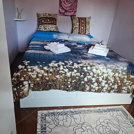 New! Il Gelsomino Di Lucca